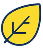 Simple yellow leaf icon with a blue outline and vein pattern on a transparent background.